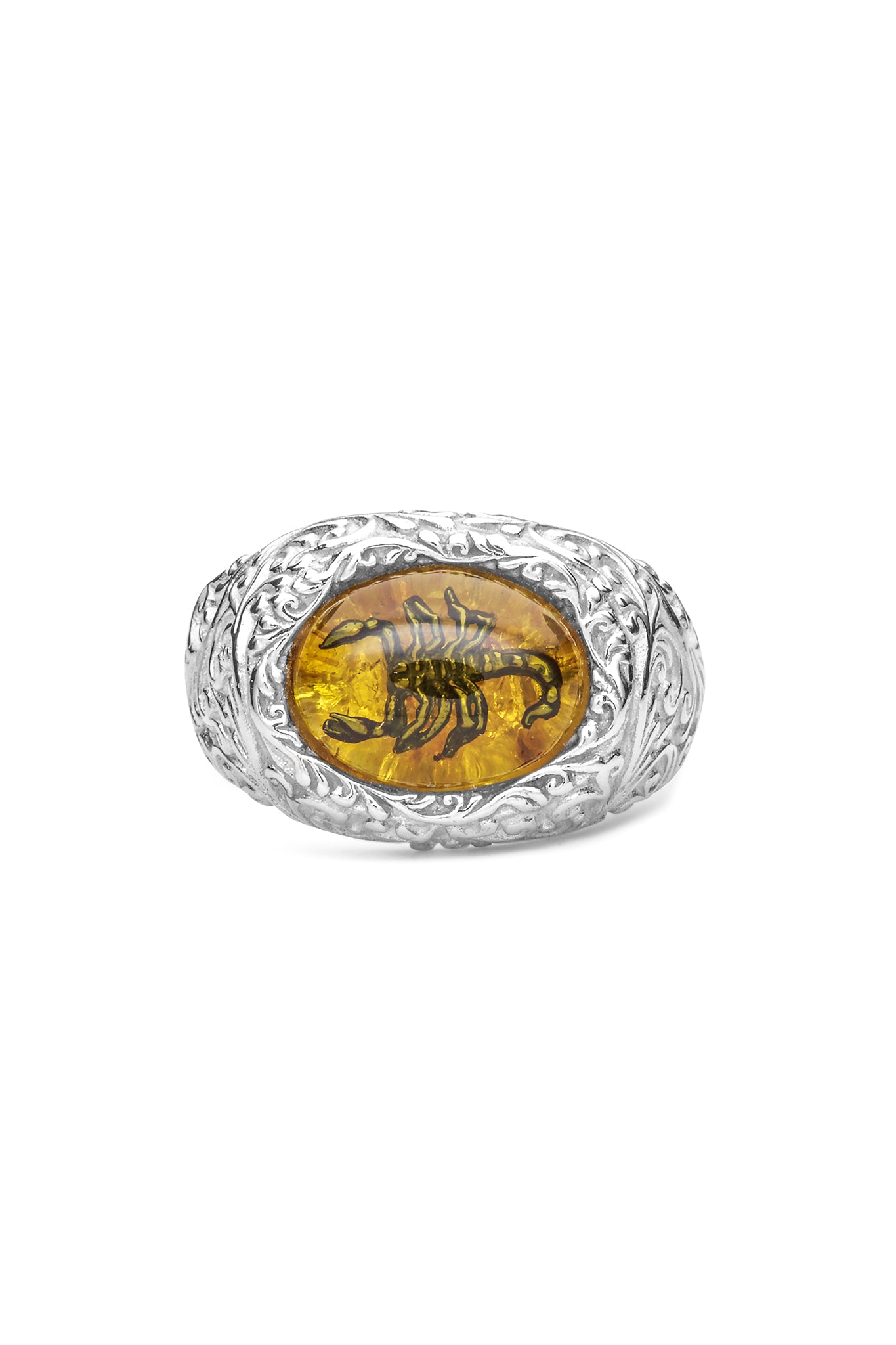 Fossilized Signet Ring