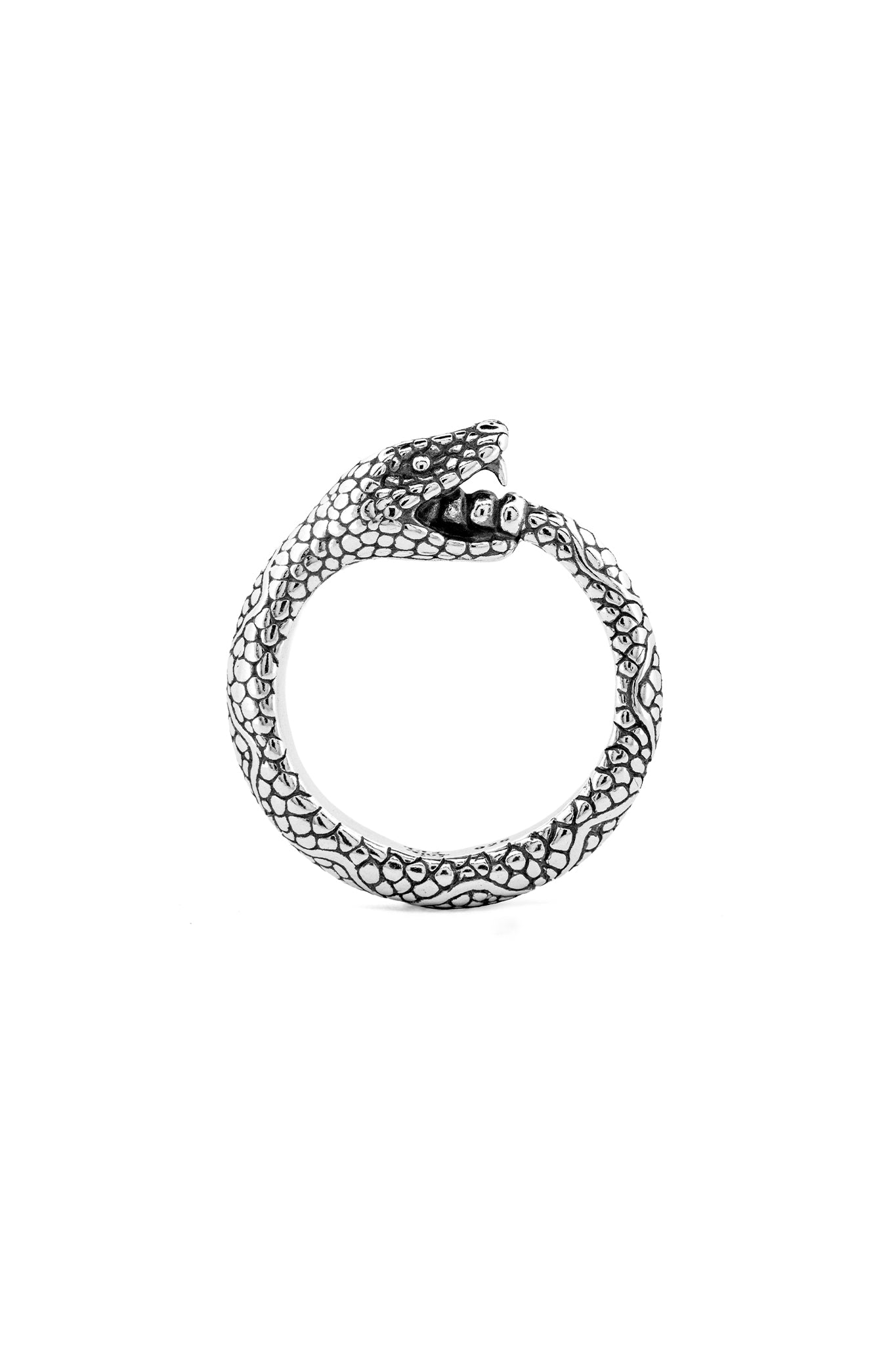 Ouroboros Ring