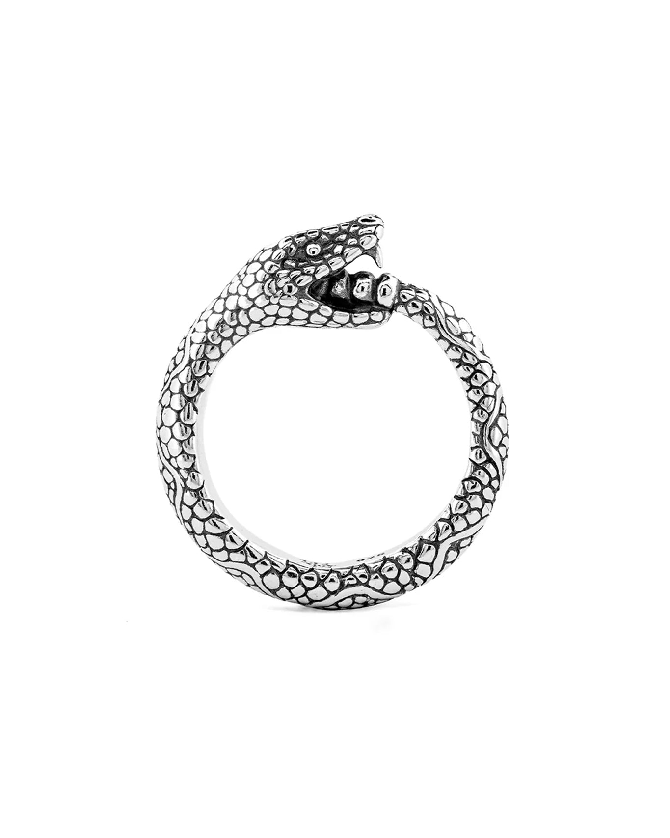 Ouroboros Ring