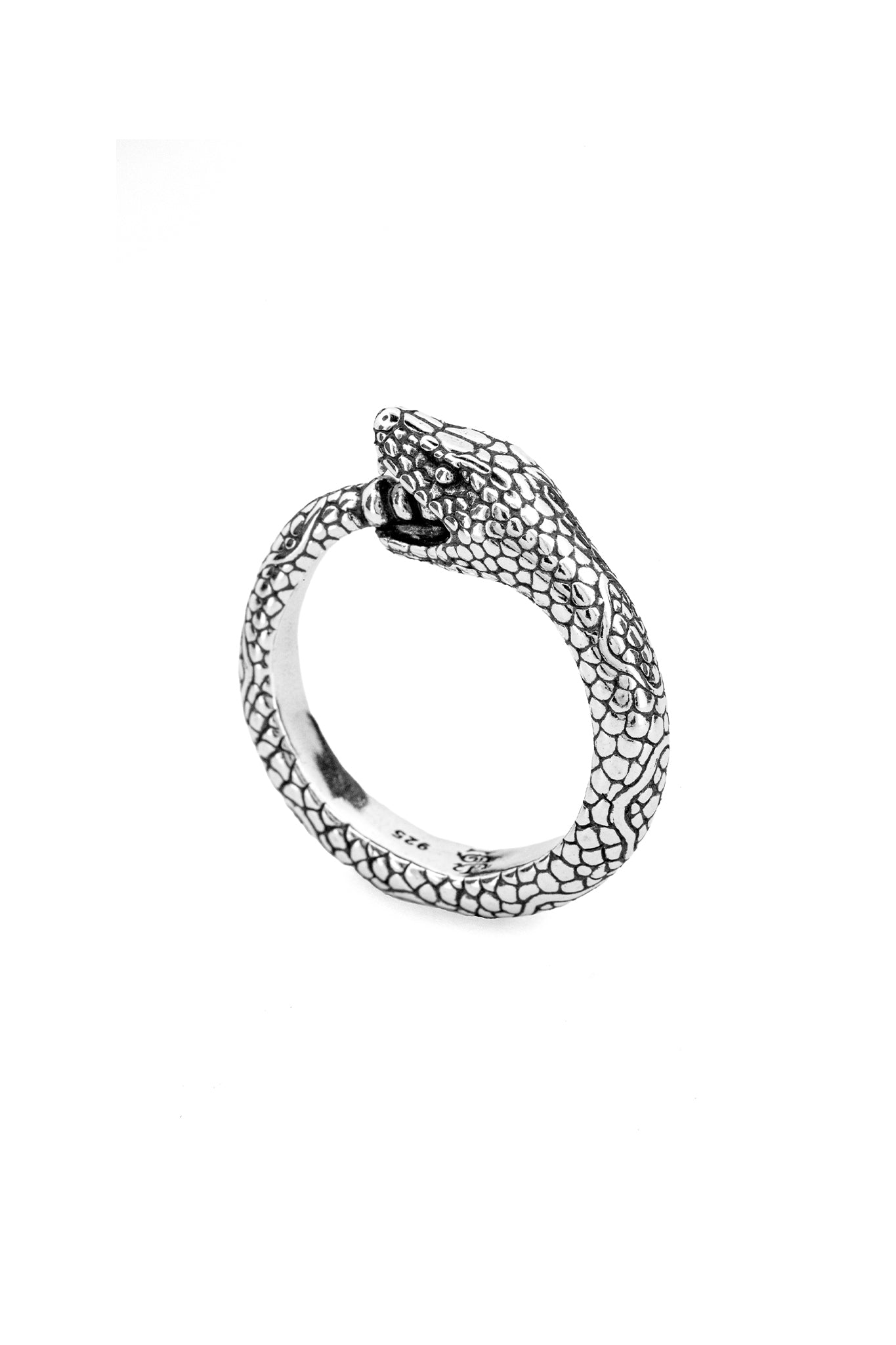 Ouroboros Ring