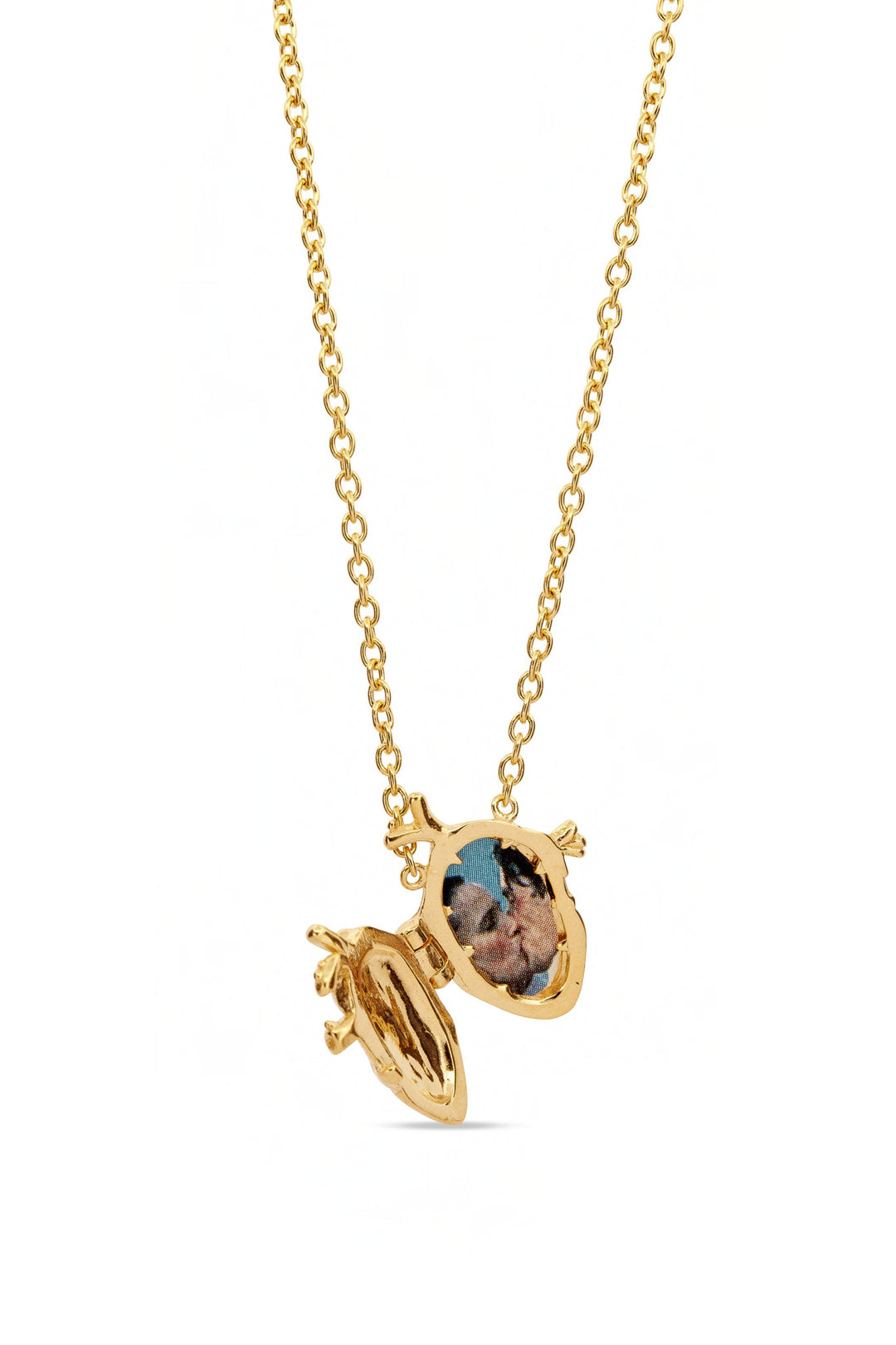 Anatomical Heart Locket | Gold