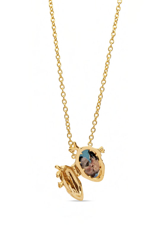 Anatomical Heart Locket | Gold