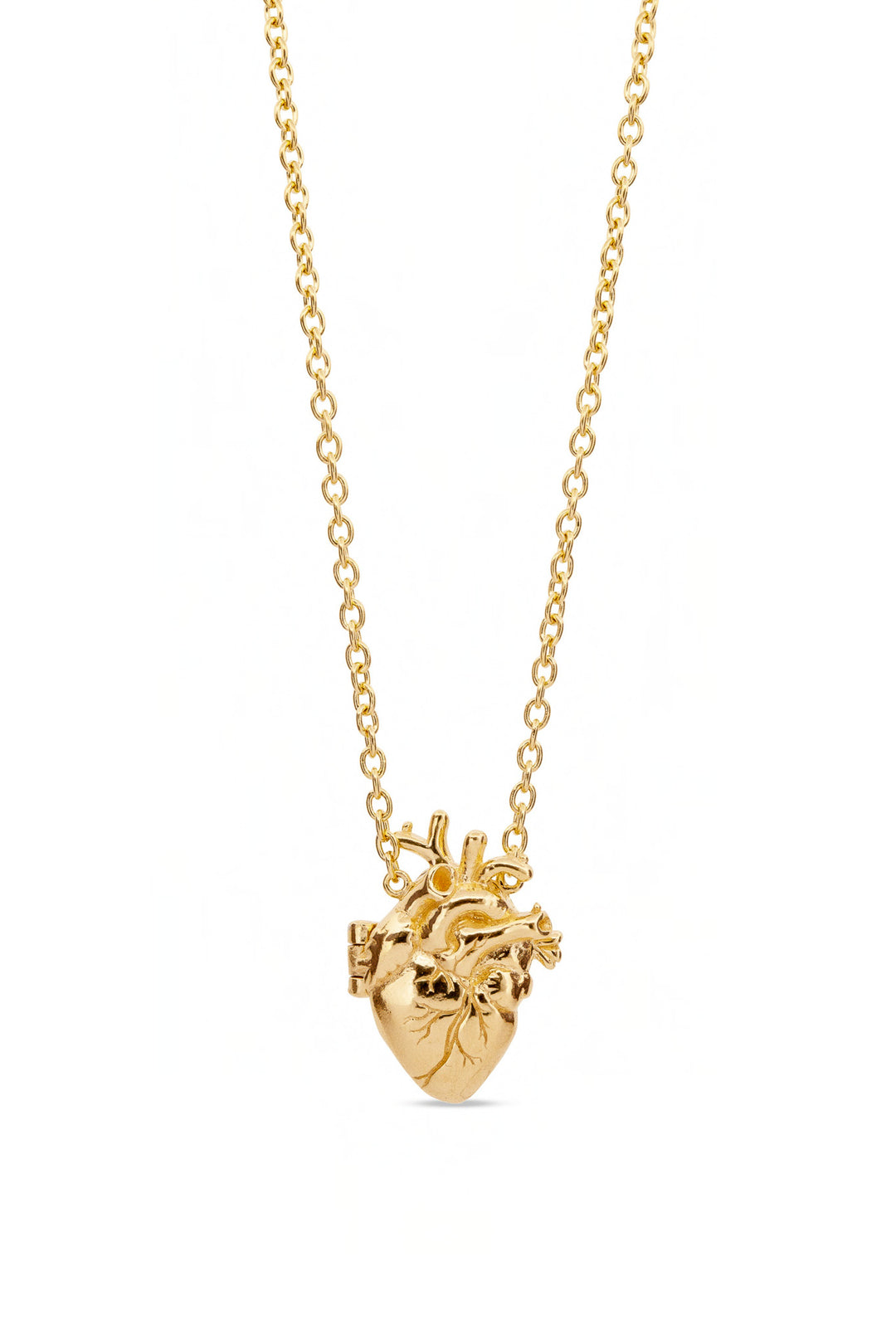 Anatomical Heart Locket | Gold