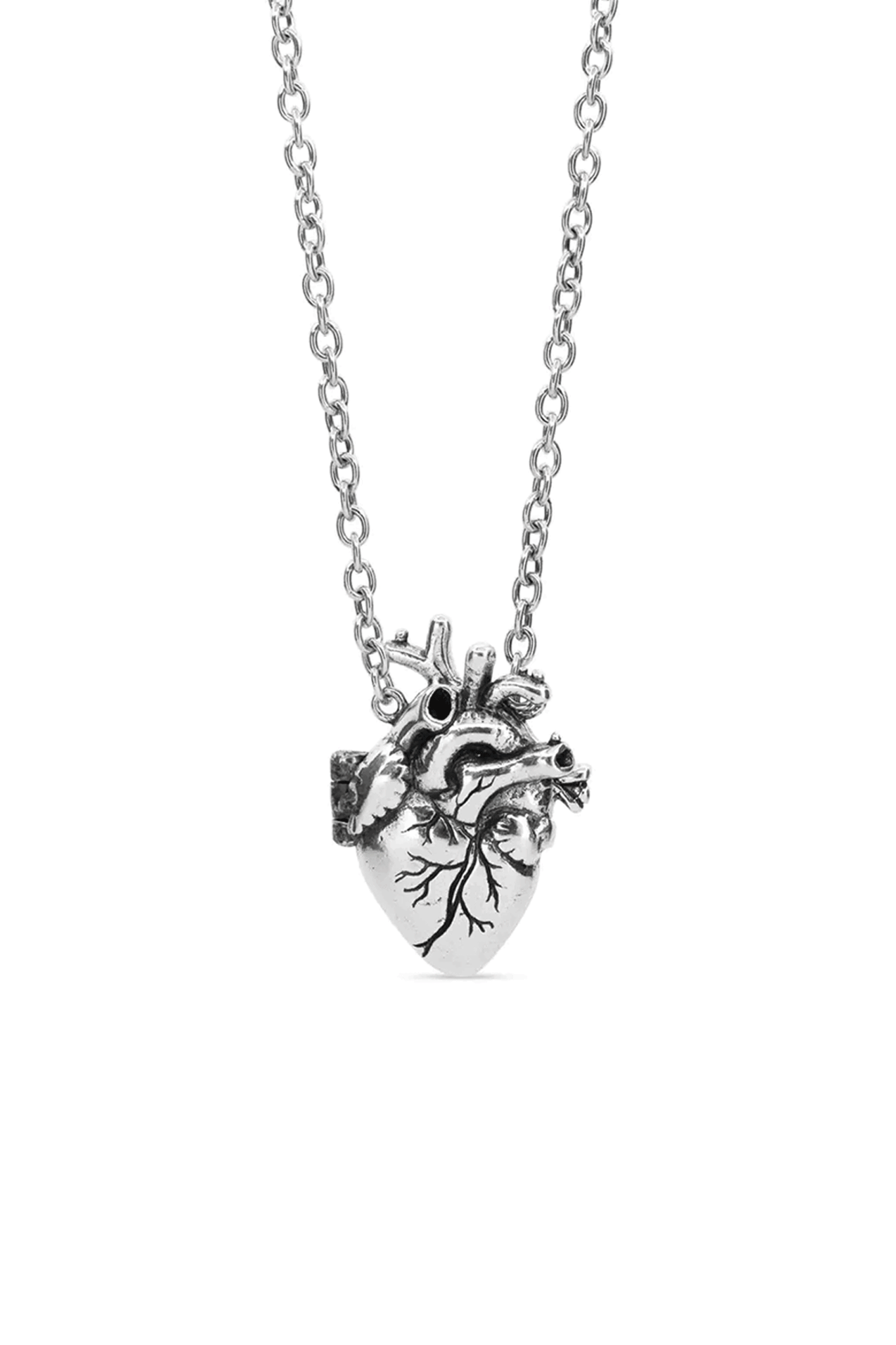 Anatomical Heart Locket – Lox & Chain