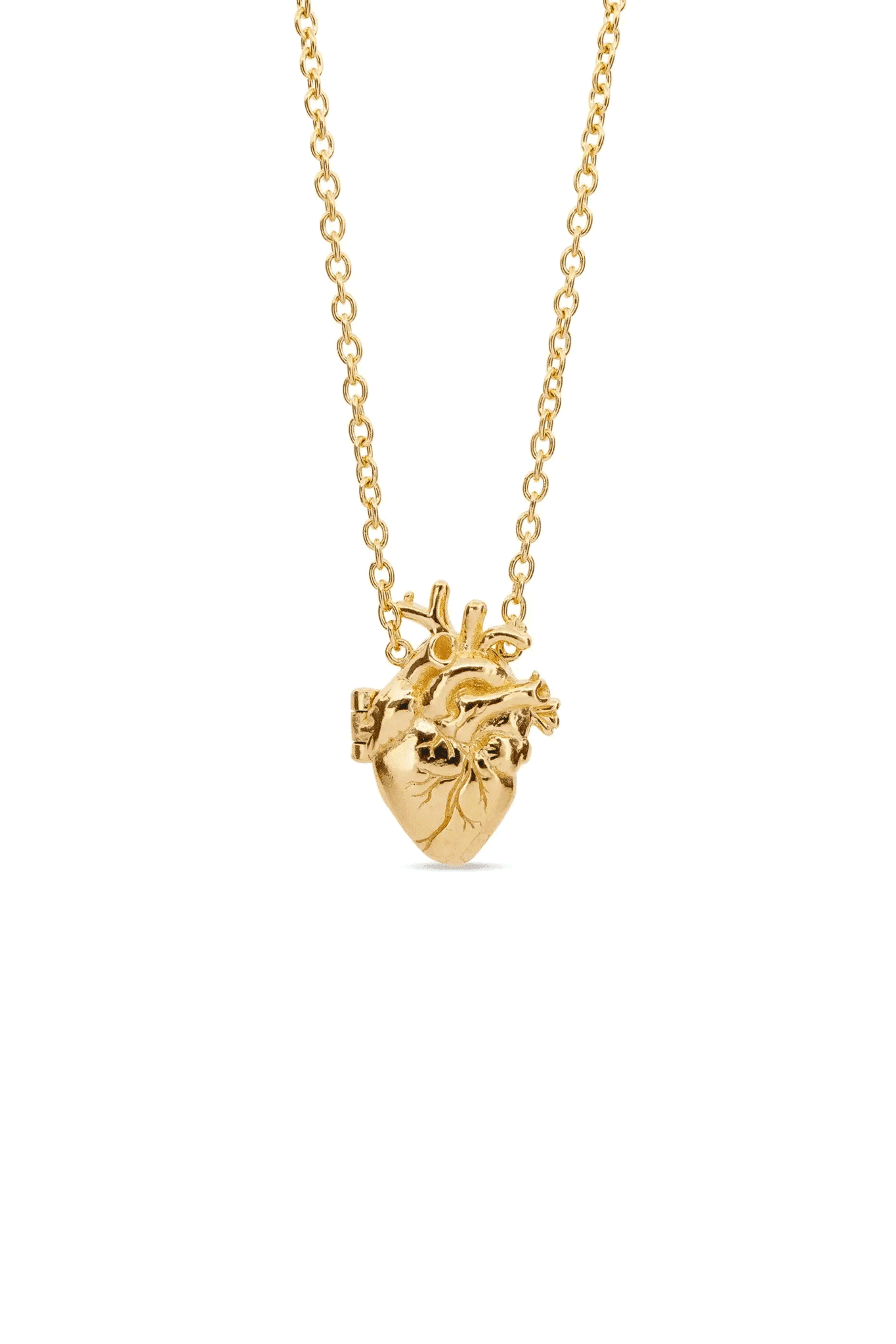 Anatomical Heart Locket | Gold